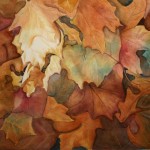 Fall Softly