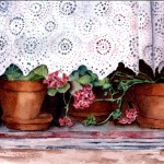 Peek-A-Boo Geraniums